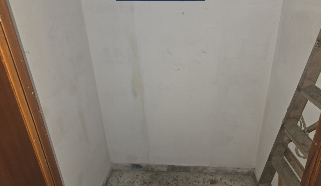 1000559253